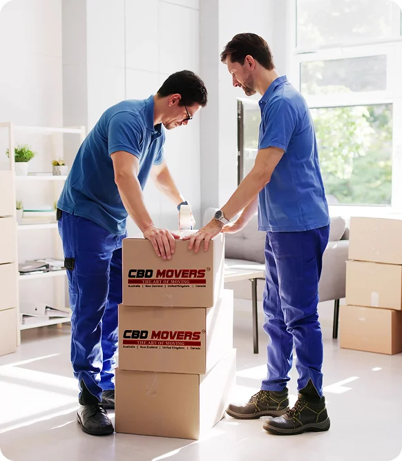 How Much Does It Cost to Hire Removalists on the Gold Coast