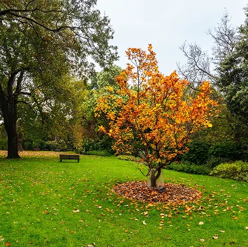 Royal Botanic Gardens Melbourne