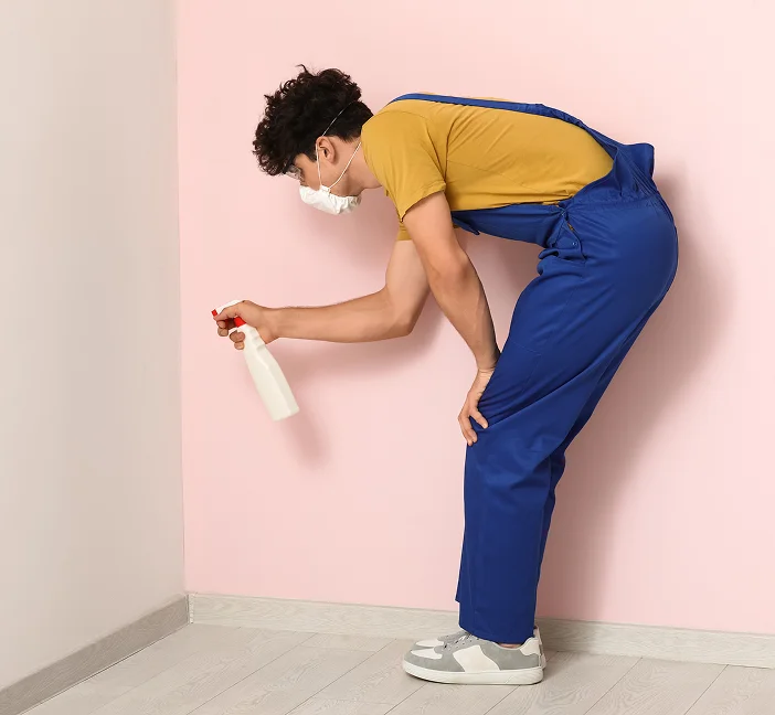 Complete Removalist Solutions for Every Perth Relocation