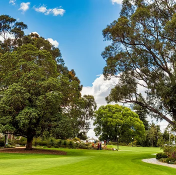 Kings Park and Botanic Garden