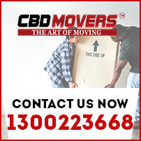 removals in mount clear