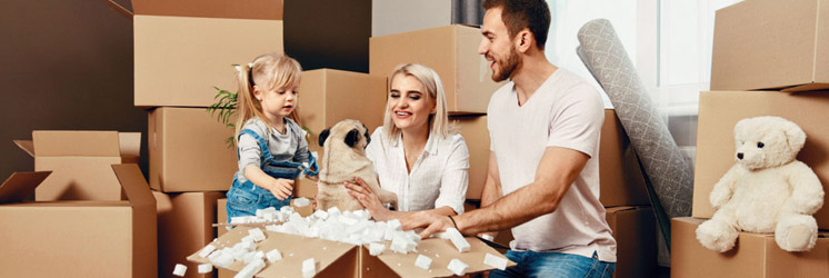 Movers Geelong