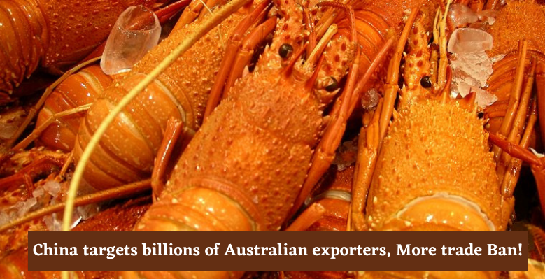 China-targets-billions-of-Australian-exporters-More-trade-Ban