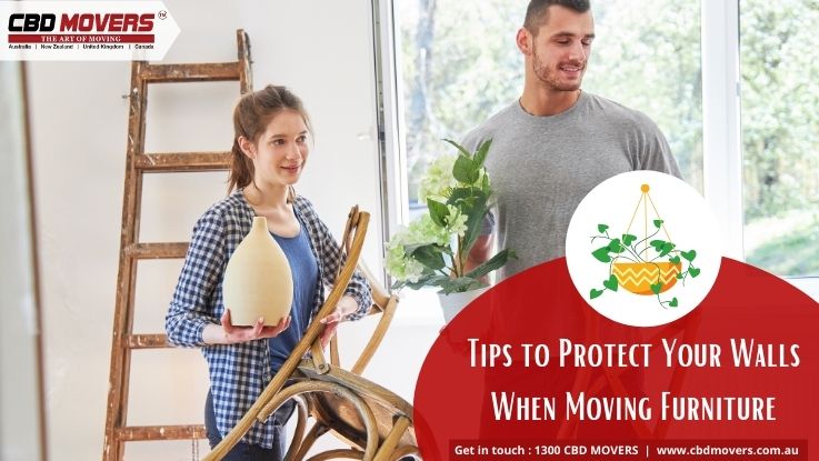 A Quick Guide To Moving Plants Safely