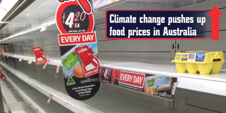 Climate-change-pushes-up-food-prices-in-Australia