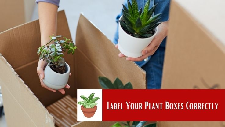 Label Your Plant Boxes Correctly