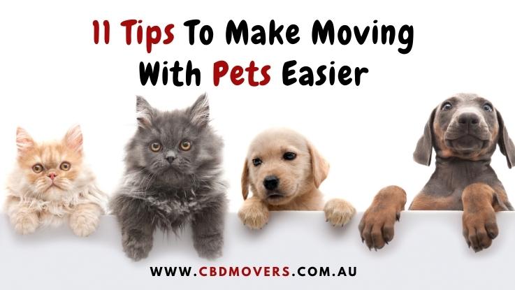 11 Tips To Make Moving With Pets Easier