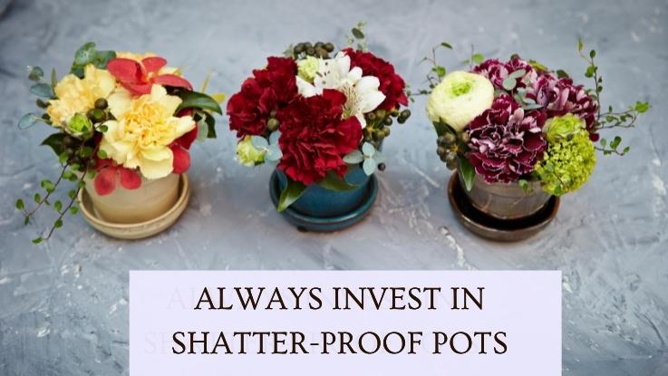 Always Invest In Shatter-Proof Pots
