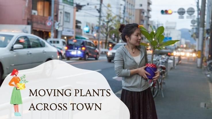 Moving Plants Across Town