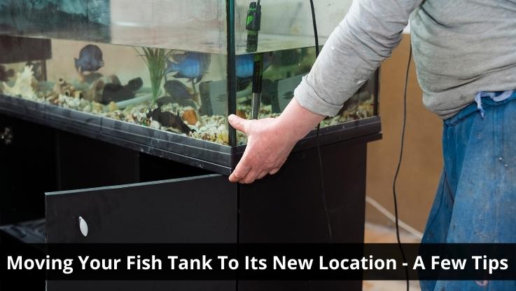 Moving Your Fish Tank To Its New Location - A Few Tips
