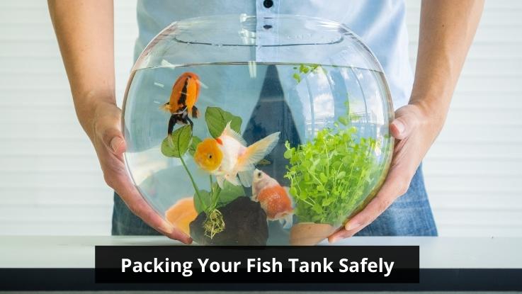 Packing Your Fish Tank Safely