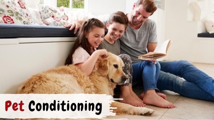 Pet Conditioning
