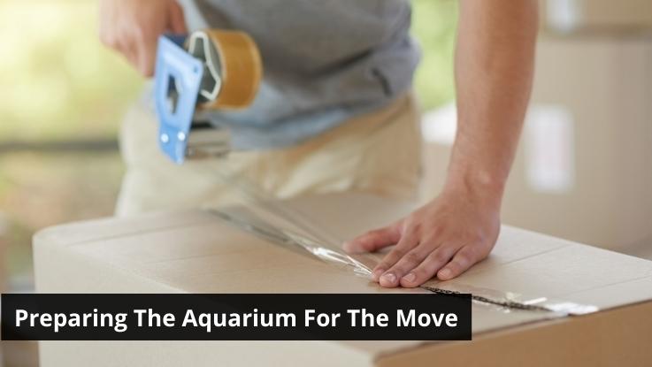 Preparing The Aquarium For The Move