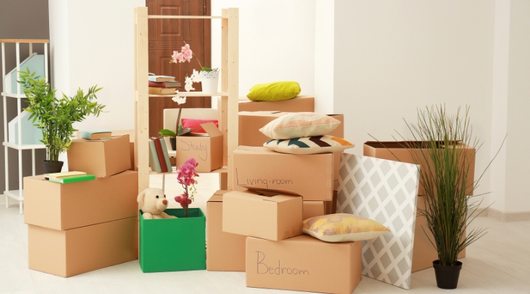 Arrange Your Boxes Intelligently