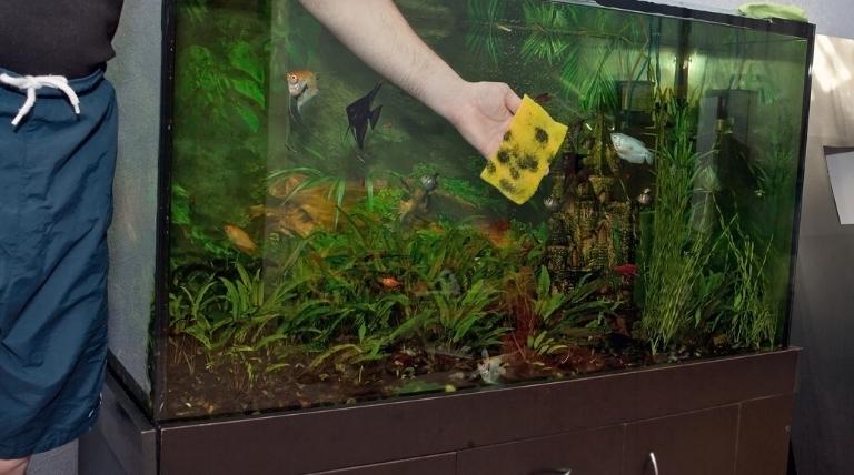 Cleaning Your Aquarium