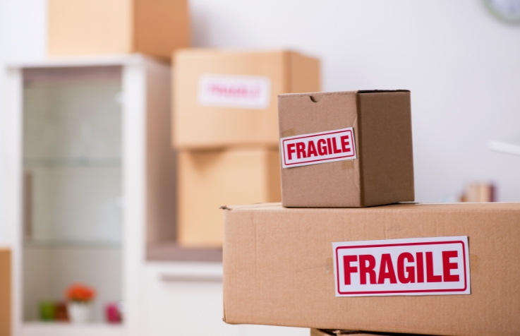Fragile 