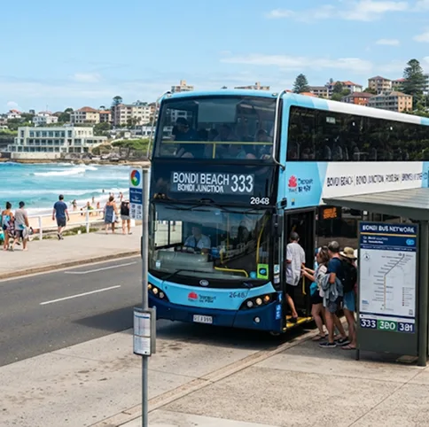 Bondi Bus Network