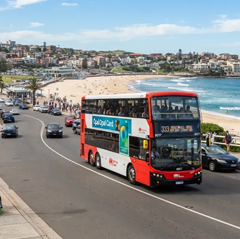 Local Bus Services