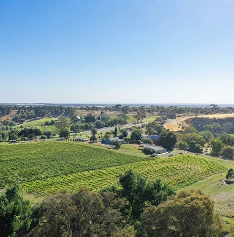 Craiglee Vineyard