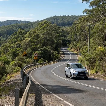 Bushland & Sloping Roads