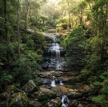 Royal National Park