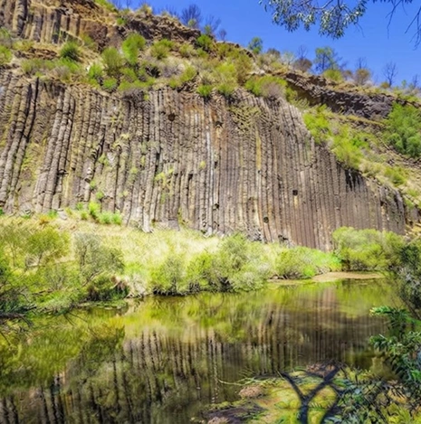 Organ Pipes National Park