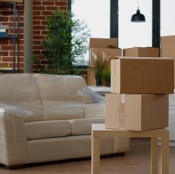 Furniture Transfers