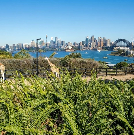 Taronga Zoo