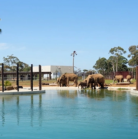 Werribee Open Range