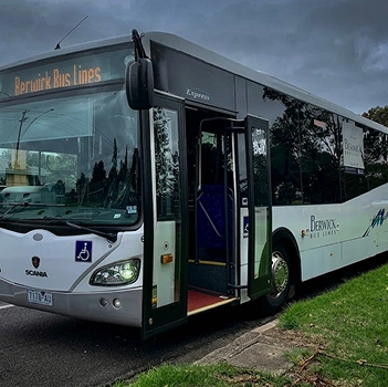 Extensive Public Bus Network