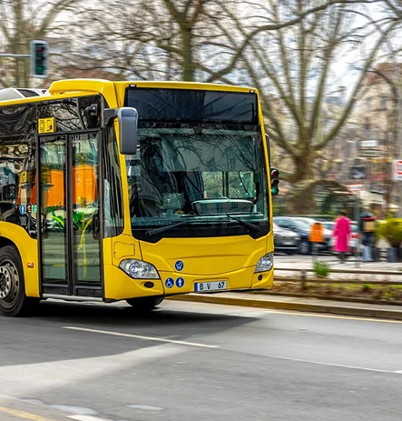 Local Bus Services