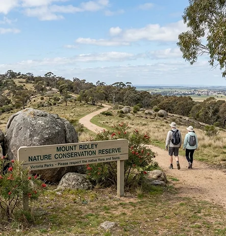 Mount Ridley Nature Conservation Reserve