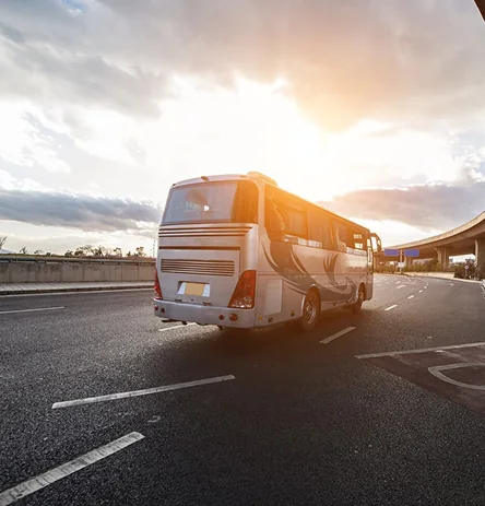 Extensive Bus Services