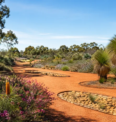 Royal Botanic Gardens Cranbourne