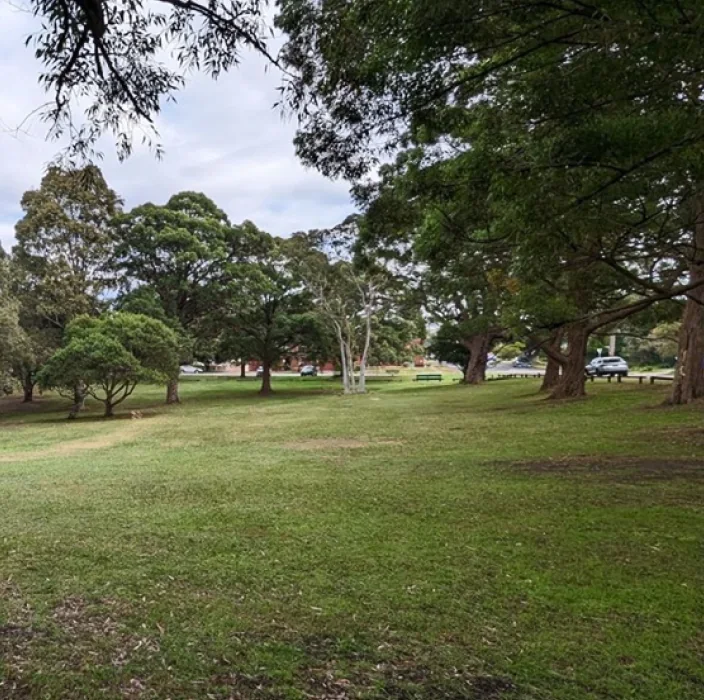 Boronia Park