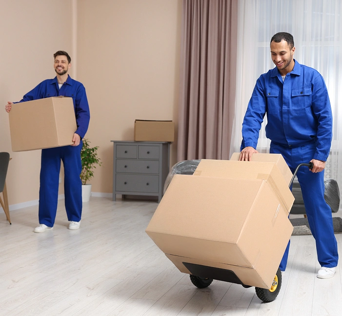 Removalist & Relocation Services in Glen Waverley Delivered by CBD Movers