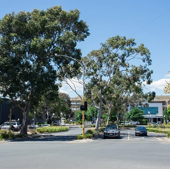 Monash Freeway Access