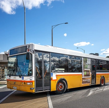 Extensive Bus Network