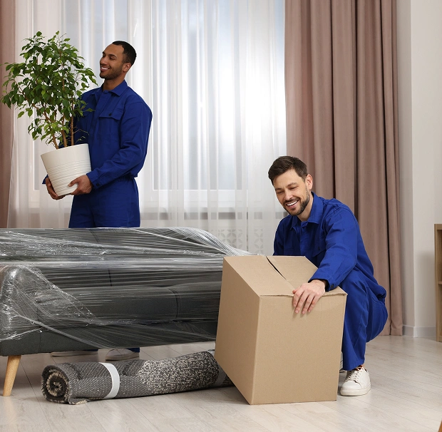 What Are the Removalist Costs in Box Hill
