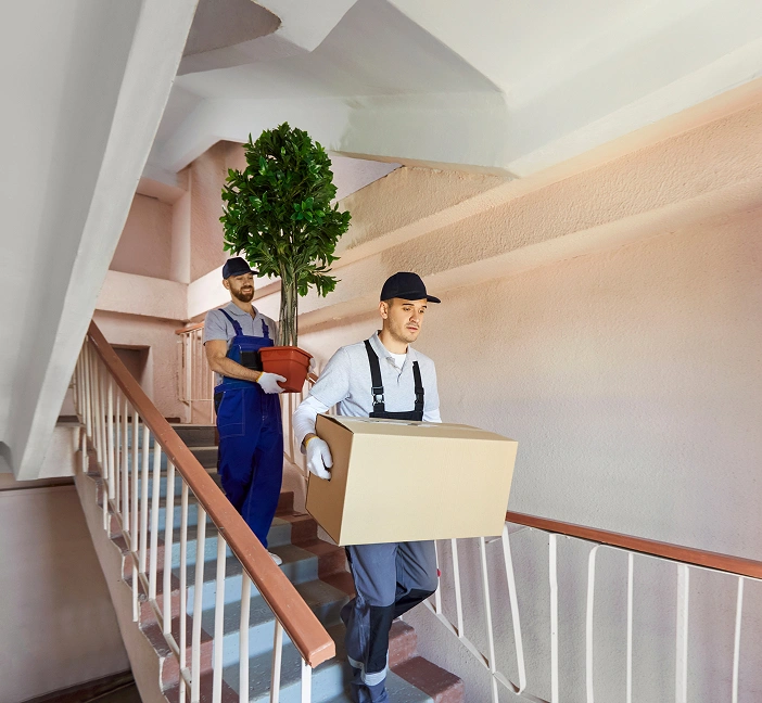 Complete Removalist & Relocation Services Across Box Hill