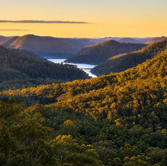 Berowra Valley