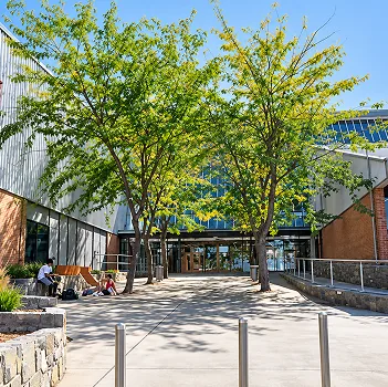 Erindale College