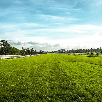 Mornington Racecourse