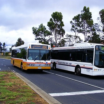 Comprehensive Bus Network
